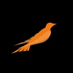 Logo Blackbird Aerodesign